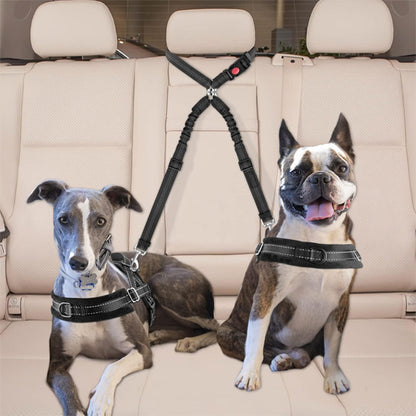 double laisse chien