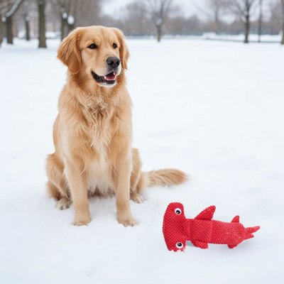 Jouets pour chien | Ultra-résistants