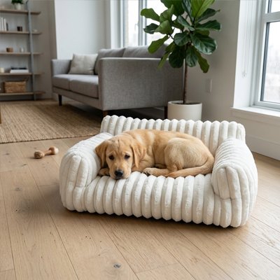 Fauteuil pour chien blanc crème avec golden retriever dans salon moderne