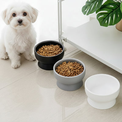Gamelle céramique pour chien avec nourriture et eau
