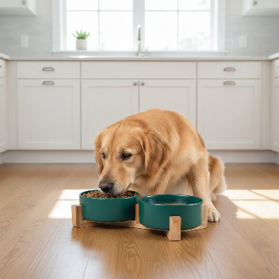 Moule En Céramique Atlantic A-1378 : Têtes De Laisse Pour Chien, Différentes Races (Occasion)