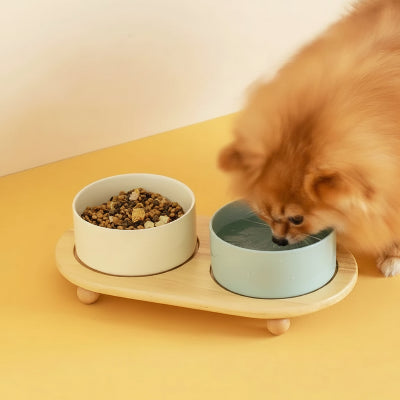 Gamelle en céramique pour chien hauteur ajustable