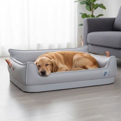 Golden beige dort dans son lit canapé pour chien