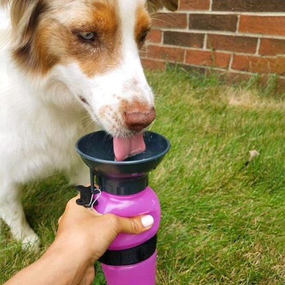 Chien de taille moyenne buvant dans la gourde portable pour chien 500 ml en extérieur