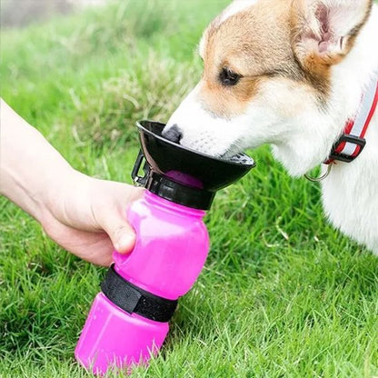 Petit chien buvant dans le bol d'une gourde portable 500 ml tenue à la main