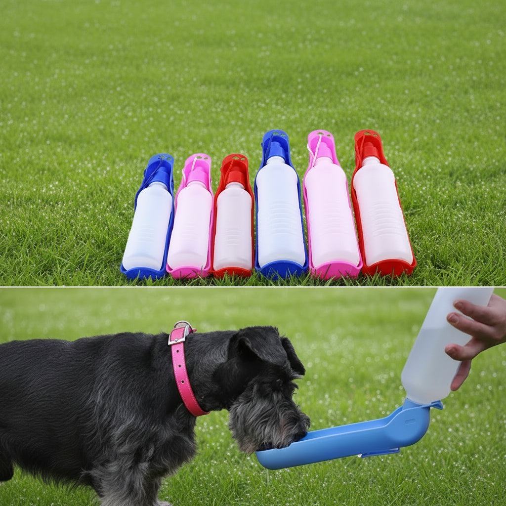Gourde de voyage pour chien | Nomad Hydratation Royaume Animalier