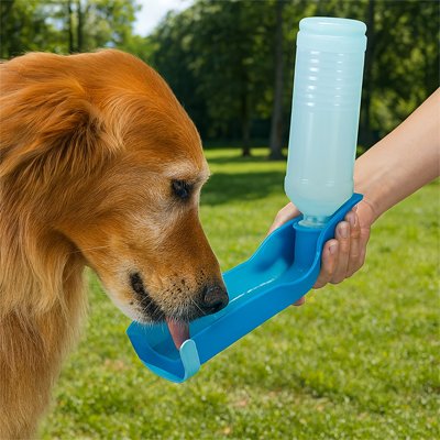 Gourde de voyage pour chien