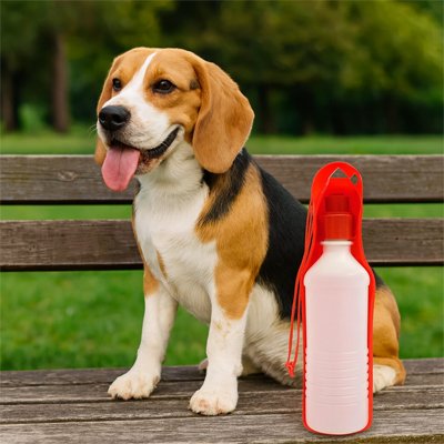 Gourde de voyage pour chien