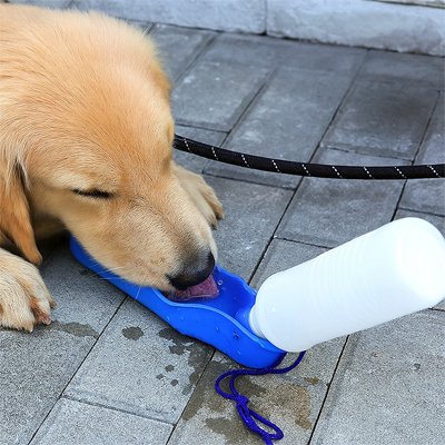 Gourde de voyage pour chien
