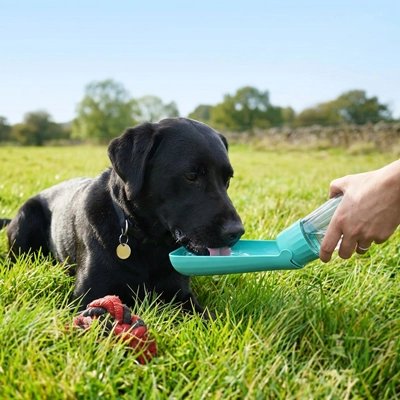 Gourde eau chien portable 550ml bleue - chiot noir qui boit en extérieur