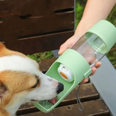 Gourdes Chien vertes à capacité adaptée