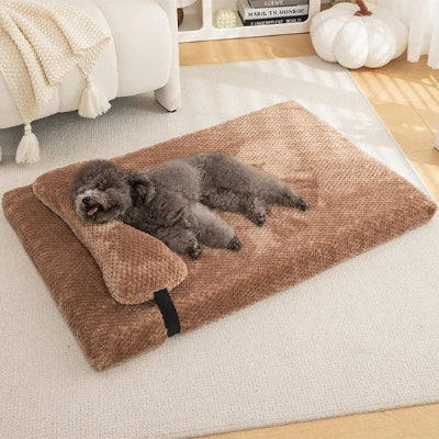 Caniche gris dans son grand lit pour chien avec oreiller