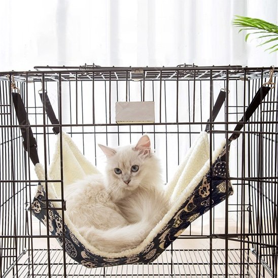 hamac à chat suspendu dans une cage