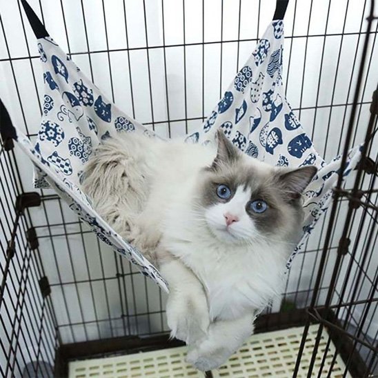 hamac à chat suspendu