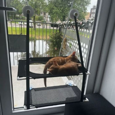 Hamac chat double lit de fenêtre