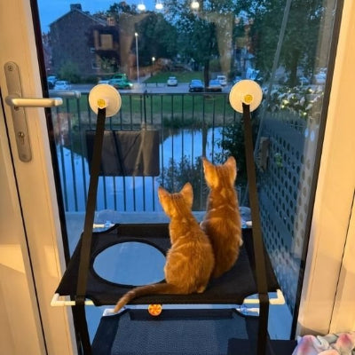 Hamac chat double lit suspendu