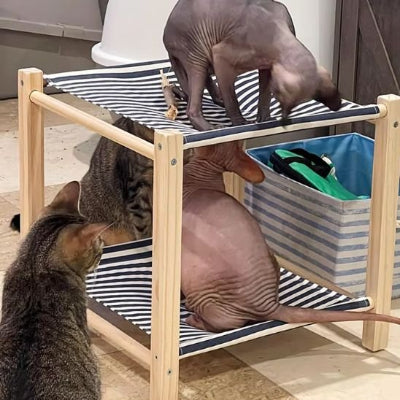 hamac chat intérieur