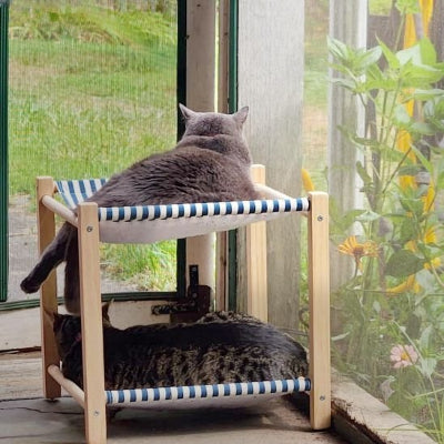 hamac chat surélevé