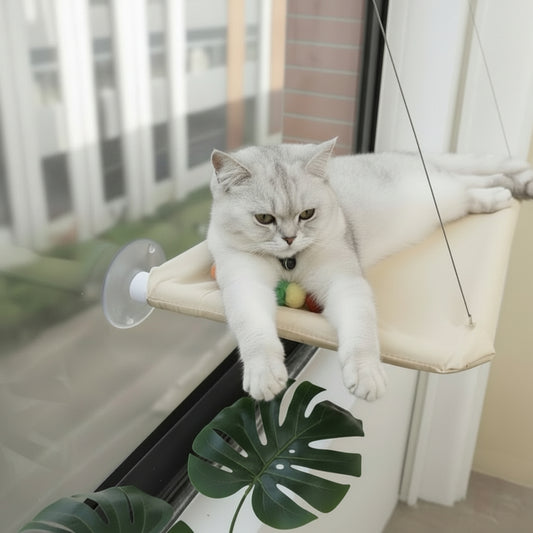 hamac de fenêtre pour chat à ventouse
