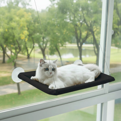 HAMAC DE FENETRE POUR CHAT | SunSnooze™ Royaume Animalier