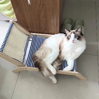 hamac pour chat sur pied avec sisal