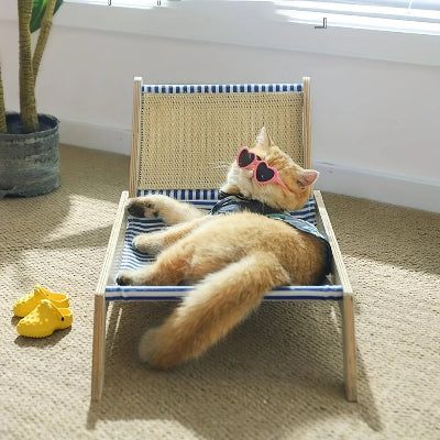 chat couché dans son hamac pour chat sur pied chaise longue