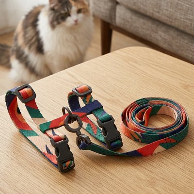 Harnais pour chat coloré - détail boucle et sangle