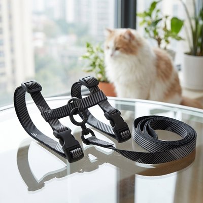 Harnais anti-fugue pour chat avec laisse - vue de côté
