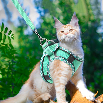 harnais chat anti fugue vert menthe avec laisse – chat roux en extérieur