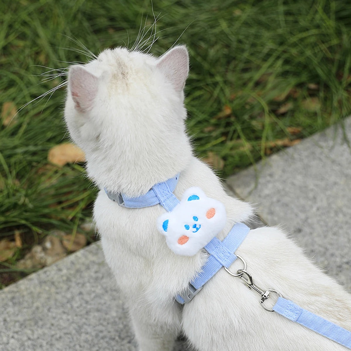 chat blanc porte un harnais bleu avec un ourson blanc