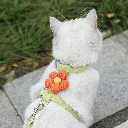 Chat blanc à l'extérieur porte un Harnais chat vert avec une feur orange