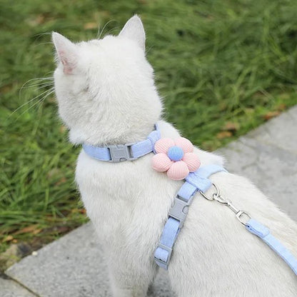 Chat blanc dehors porte un Harnais chat bleu avec une fleur rose 