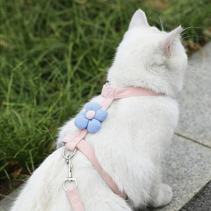 Chat blanc sur trottoir porte un Harnais chat rose avec une fleur bleue