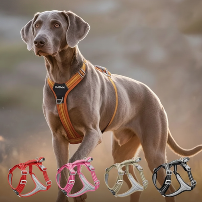 Harnais confortable chien vue d'ensemble coloris disponibles et détails