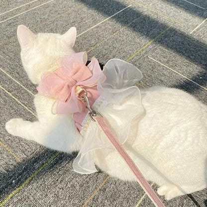 chat blanc sur tapis porte un Harnais pour chat rose avec laisse