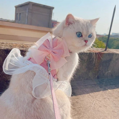 chat blanc porte un Harnais pour chat avec un noeud rose à l'extérieur