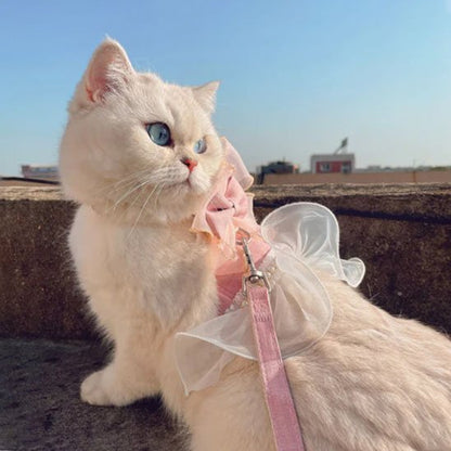 chat blanc porte un Harnais pour chat rose en tutu