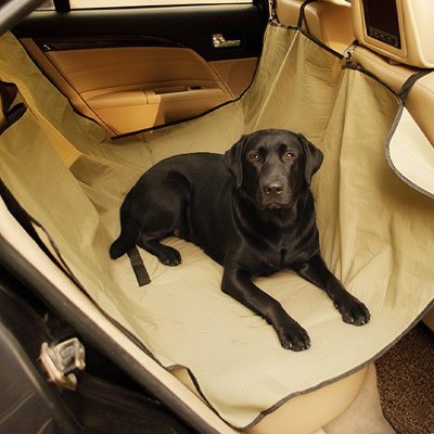 Housse protection voiture pour chien beige avec un chien noir allongé sur le siège arrière.