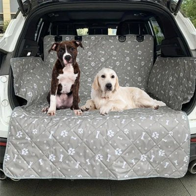Housse voiture pour chien – deux chiens assis dans le coffre d'un SUV gris