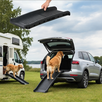 Rampe voiture pour chien installée à l’arrière d’un camping-car avec un chien