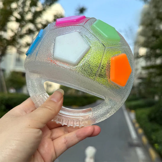 Jouet d'occupation chien | CaniGenius™