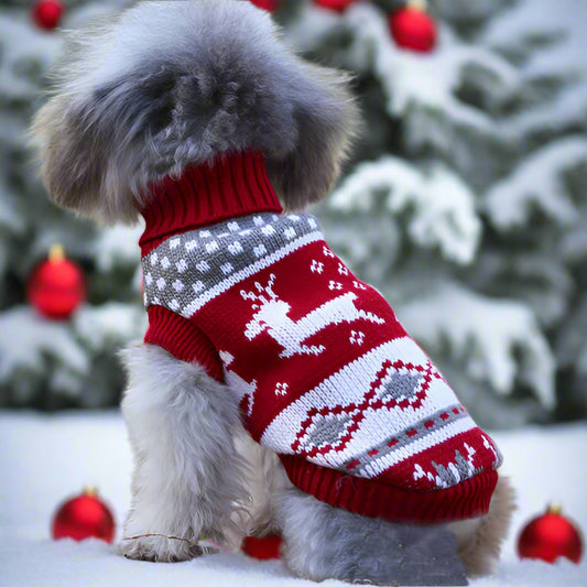 PULL DE NOEL POUR CHIEN | RUDOLF
