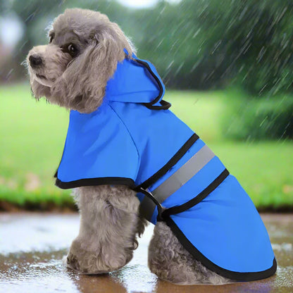 Imperméable pour chien poncho bleu