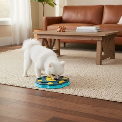 Jeux pour chien anti glouton