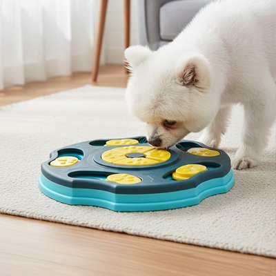 Jeux pour chien stimulant