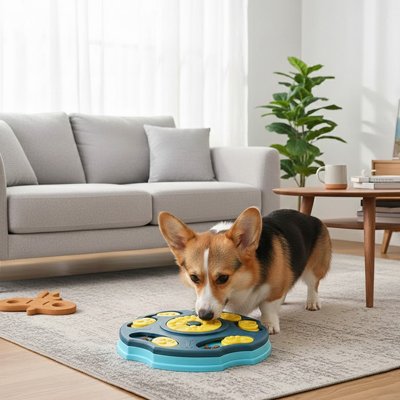 Jeux pour chien tourniquet gourmand