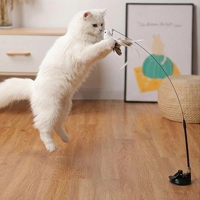 Chat blanc persan qui se dresse pour attraper un jouet oiseau sur tige à ventouse