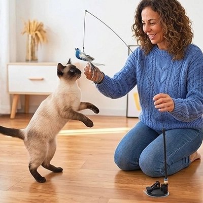 Femme qui fait jouer son chat siamois avec un jouet oiseau interactif sur tige