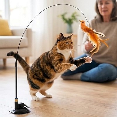 Chat roux qui attrape un oiseau à plumes sur tige flexible, jouet interactif pour chat