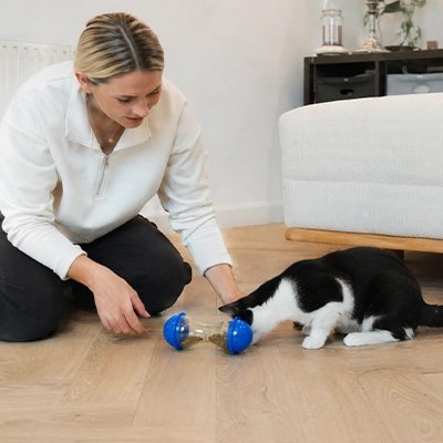 Femme jouant avec son chat et un distributeur de friandises interactif